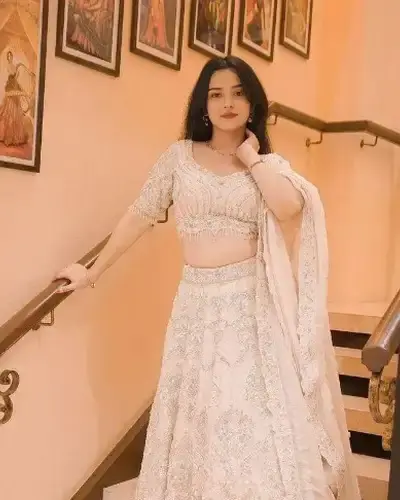 Escort Panchmahal